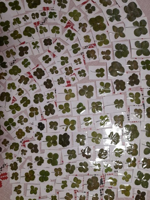 Четирилистни детелини