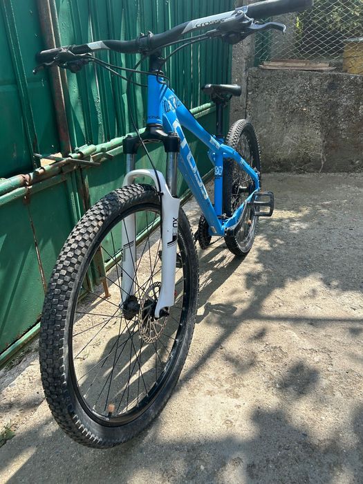 Kolelo Cross Dexter