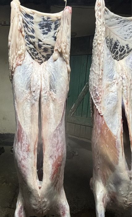 Семіз қой еті сатылады