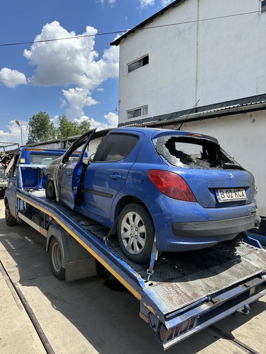 Colectare Rable Auto