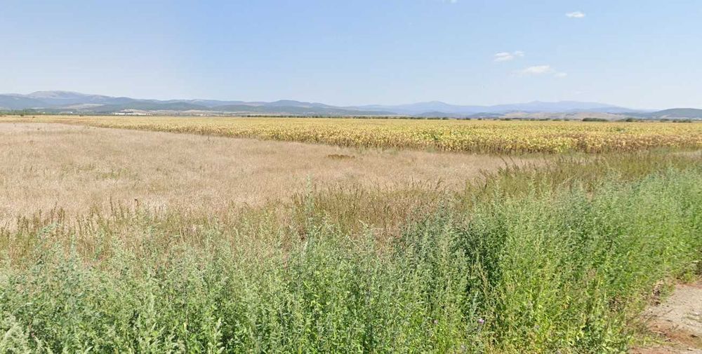 Продава се Парцел в Елин Пелин - 4520 кв.м за 70 €/кв.м - Снимка #1