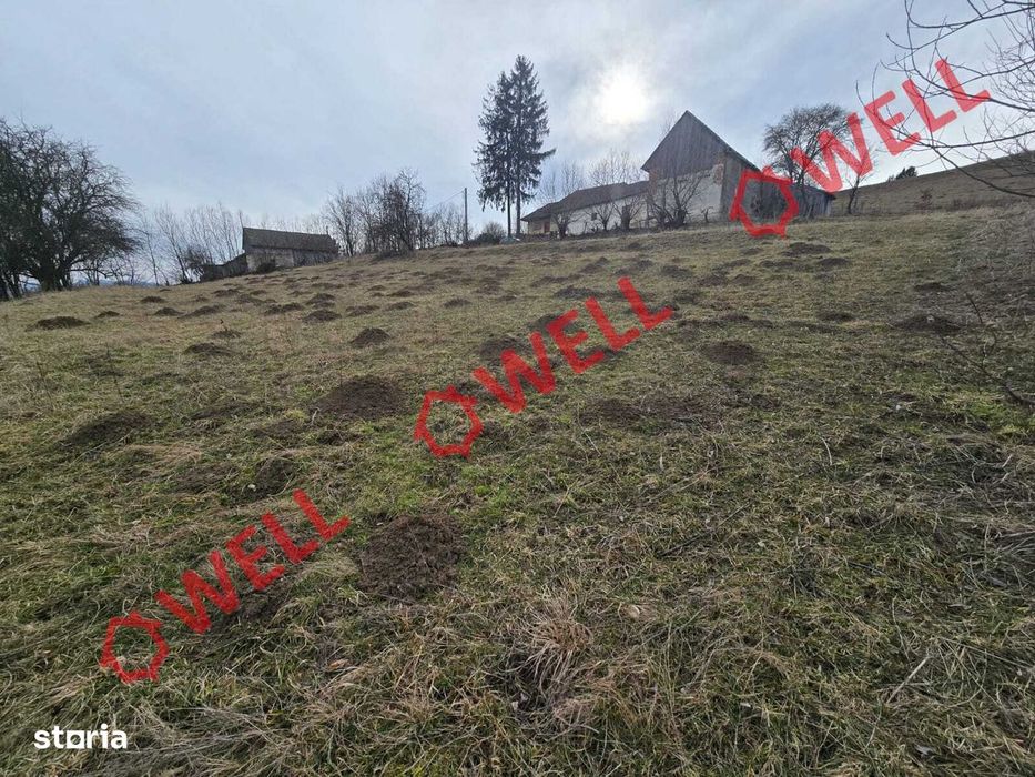 Teren extravilan de vânzare în Sărămaș, pe punctul de numit ,,PARAIE,,