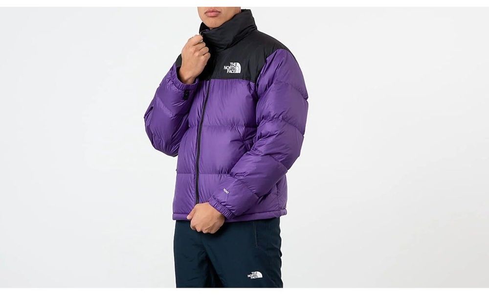 Мъжко зимно яке - The North Face 700