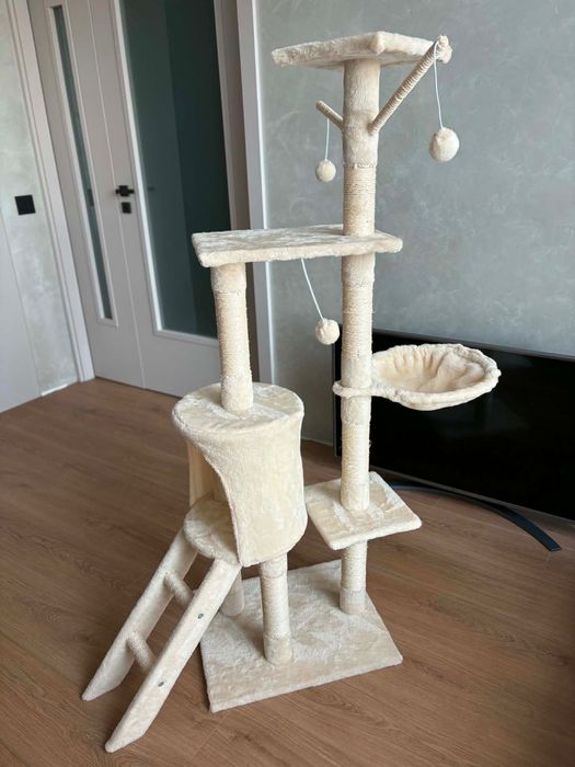 Котешка катерушка