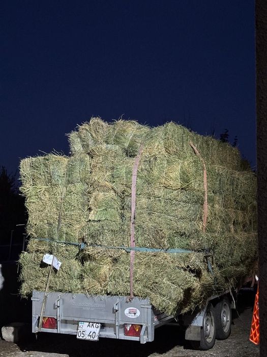 Жонышка сатылады