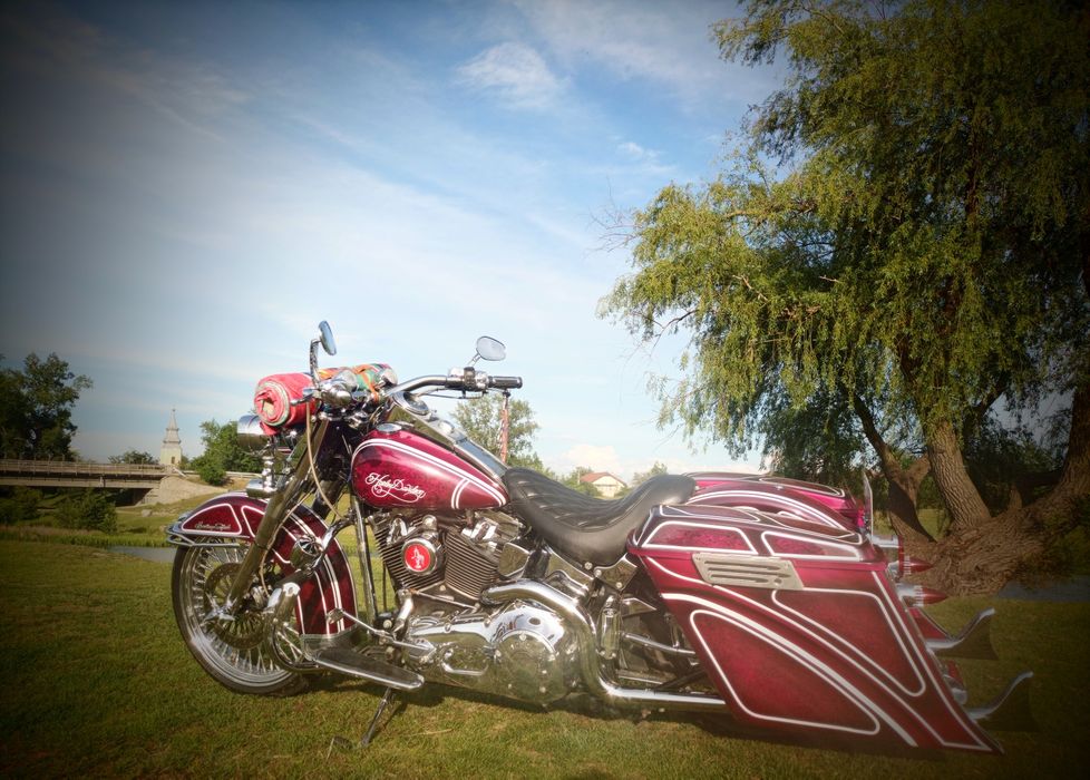 Harley Davidson Chicano