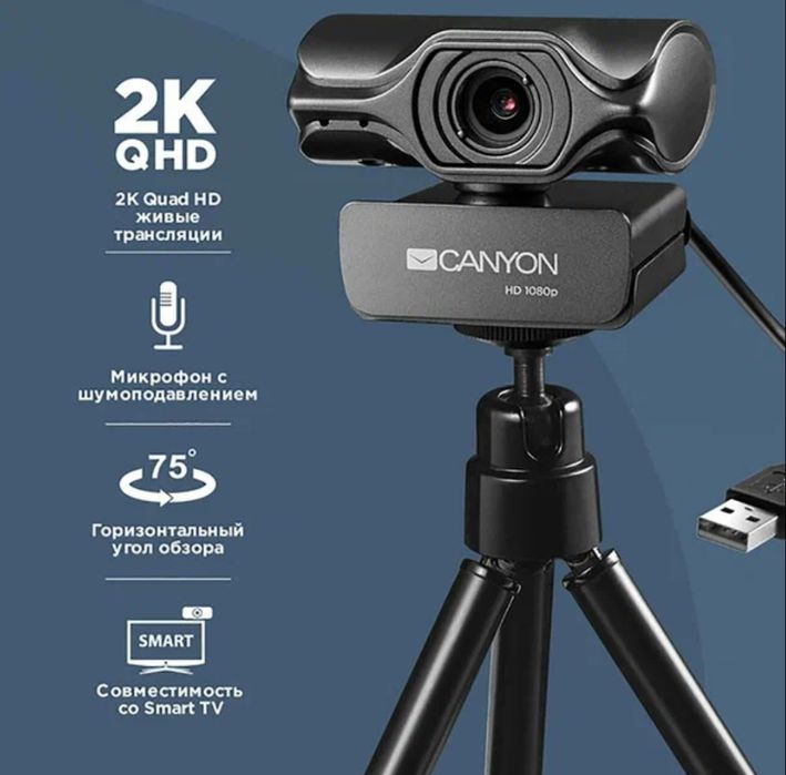 Веб камера canyon