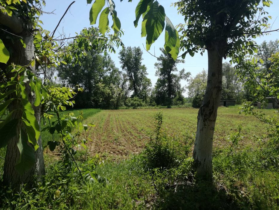 Teren intravilan, construibil, Vladimir-Andreesti, jud.Gorj 5390mp