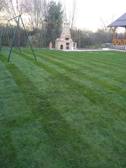 Rulouri de Gazon Natural