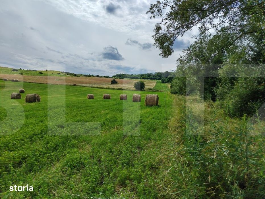 Teren extravilan – 2,2 hectare in Hiliseu-Horia,jjudetul Botosani