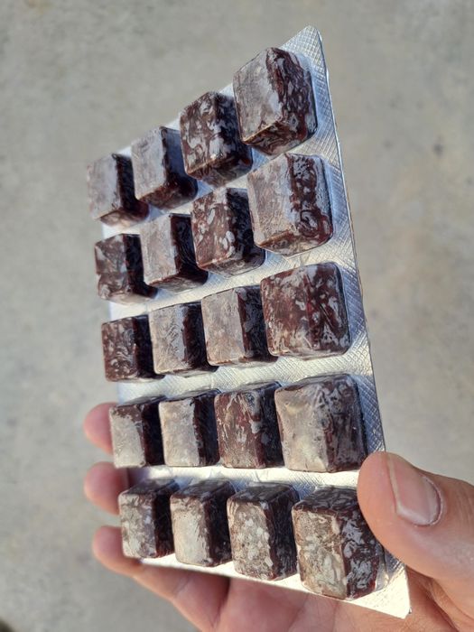 Мотыль привазной