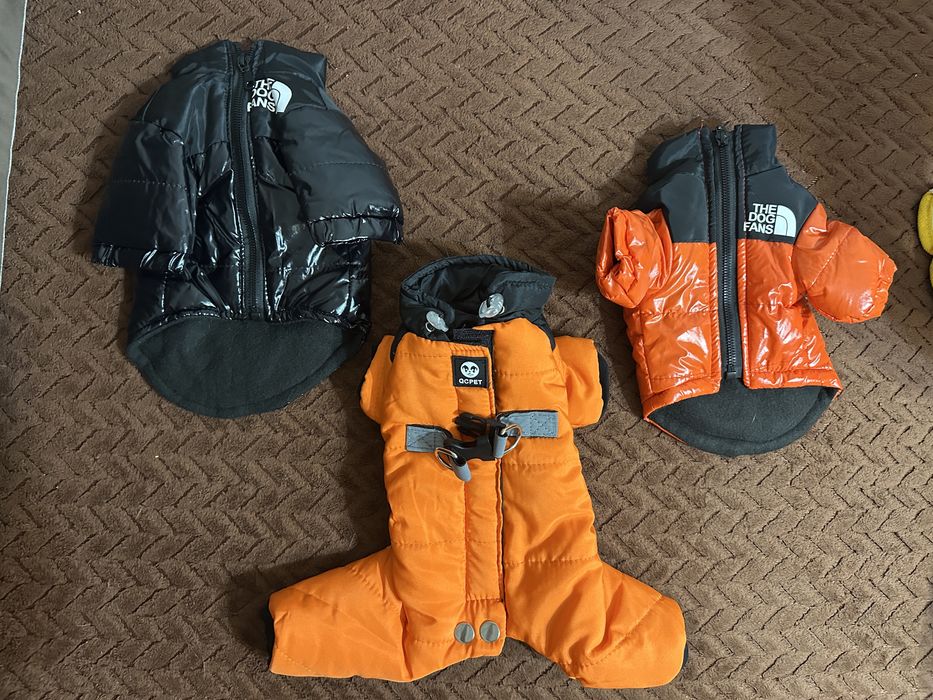 Одежда для сабак