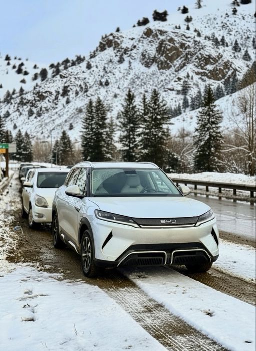 Yuan up full ofitsialniy