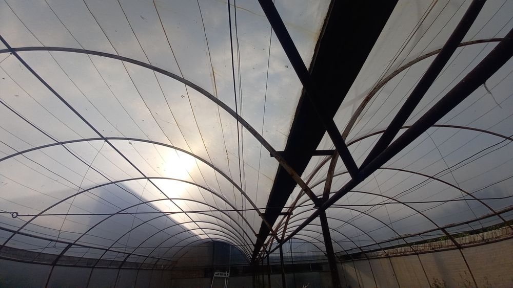 Парник сотилади келиштириб берилади