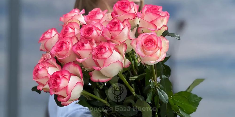 Цветы тюльпаны розы