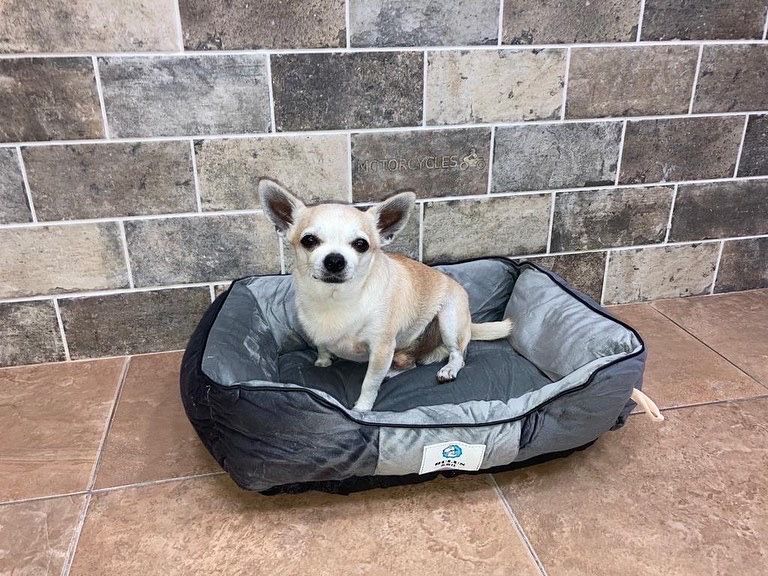 Лежанка для собак и кошек