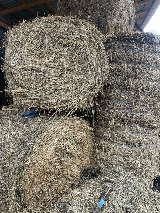 Vand baloti de lucerna