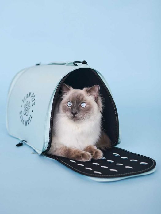 Переноска белая сумка для кошки или собачки.