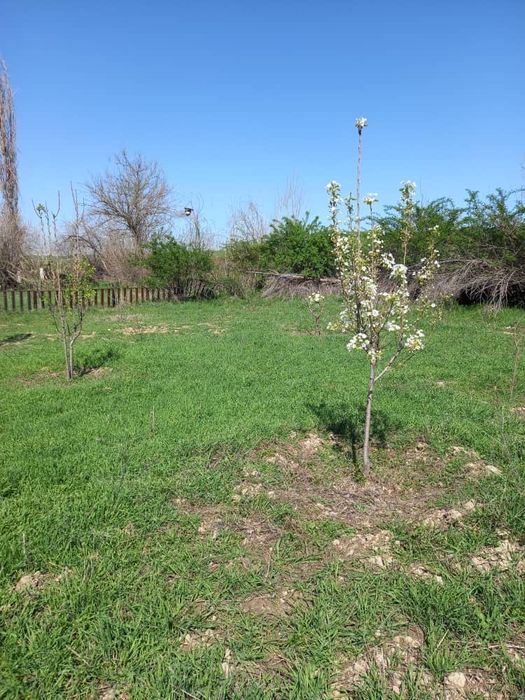 продаётся дачный участок 6 соток с кадастром за 12.000$