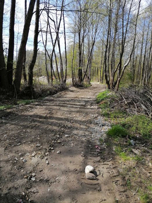 Teren intravilant Com. Runcu, sat Runcu, Gorj