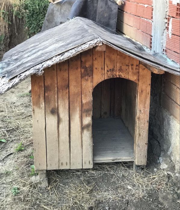 Масивна, голяма кучешка колиба