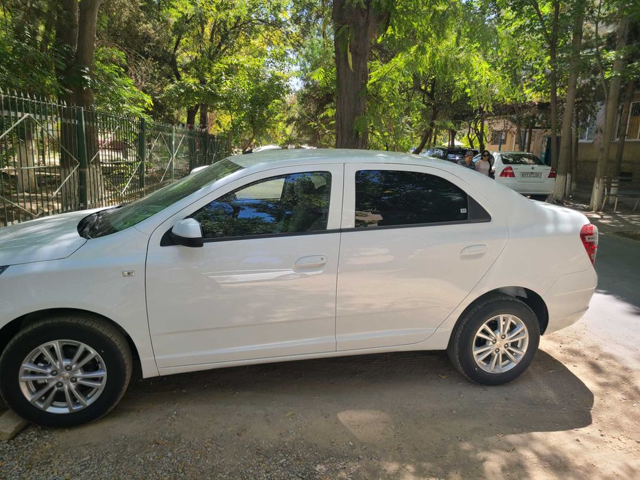 Kobalt mashinasi yilli 2024. Yangi