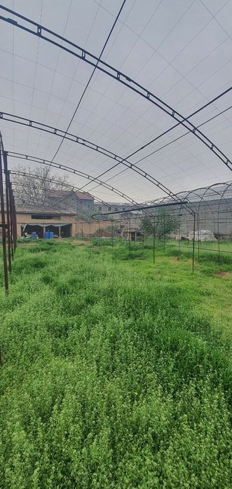 Продаётся 8 Соток Земли Кибрайский Район Ул. Алимова