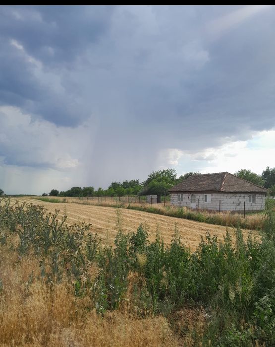 Teren extravilan  Poiana Mare Dolj