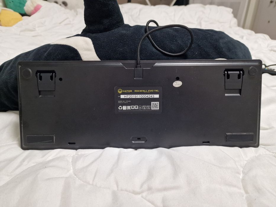 Клавиатура Hator Rockfall Evo TKL