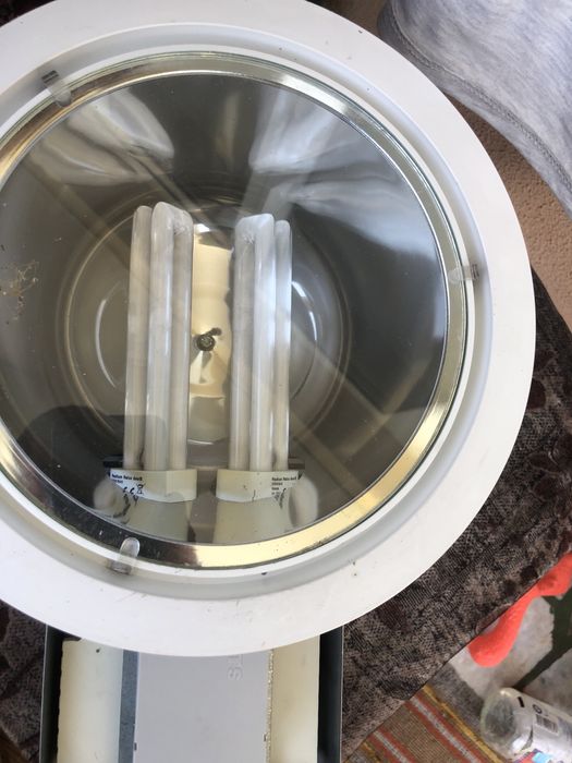 Lampi lts vnos holandia