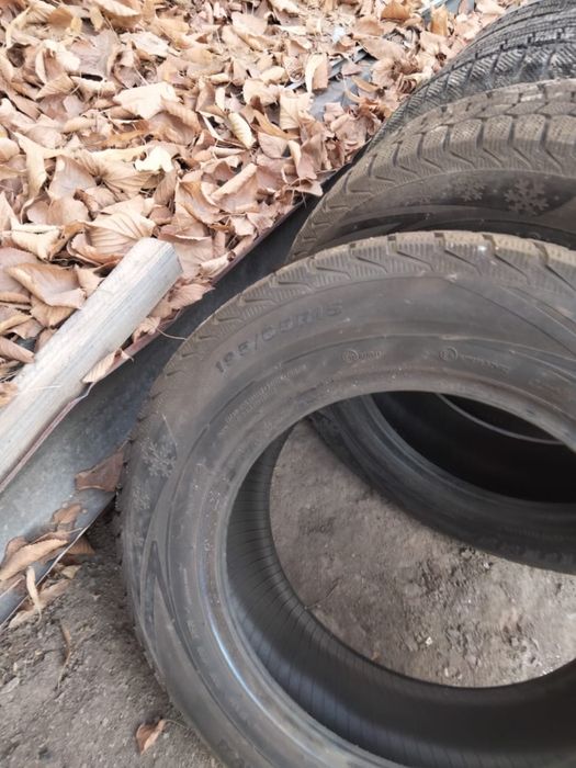 Дөңгелек қыстық жағдайы жақсы