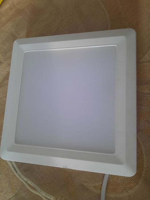 Сталкер настенный