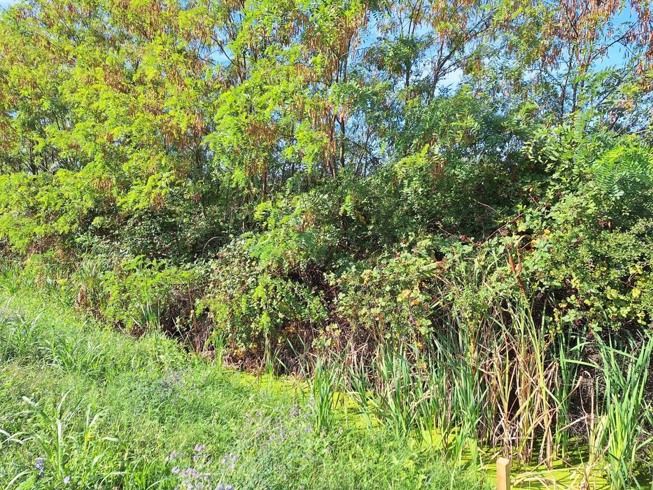 Teren intravilan Isalnita, deschidere la Drumul European E70