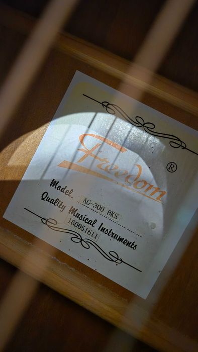 Chitara acustica Freedom