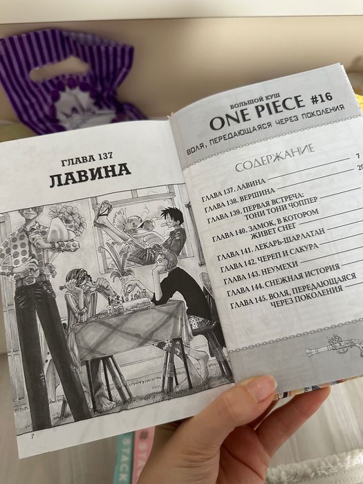 Книга Ванпис Большой куш