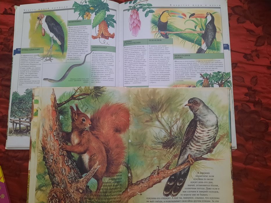 Книги о животных