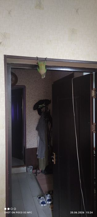 Продаются Ручные перруры