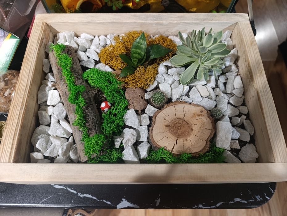 Продам флорариум