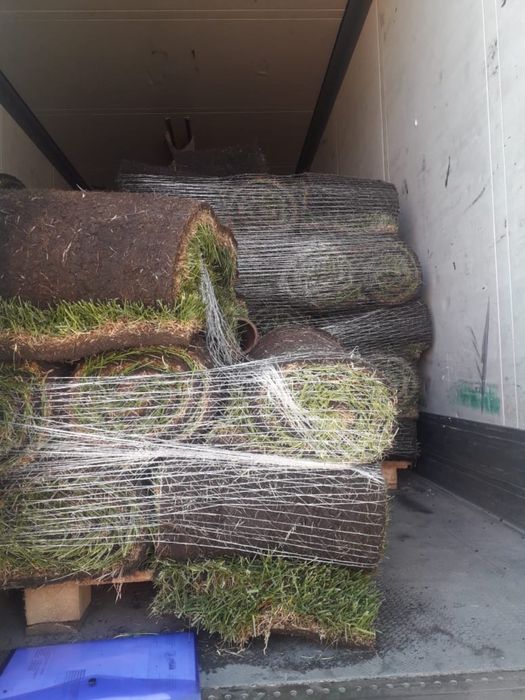 Зеленый сочный газон под ключ