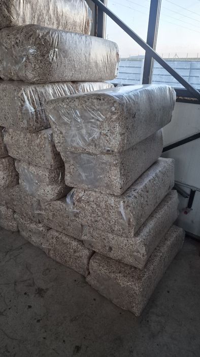 Талаш сух, трици