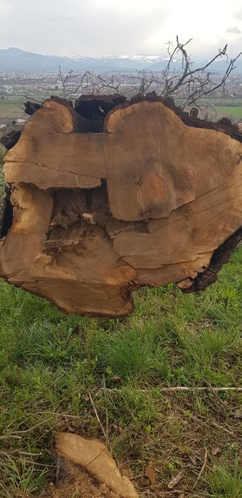 Lemn de nuc de vanzare