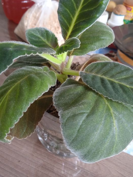 Расспродажа цена от 550тенге