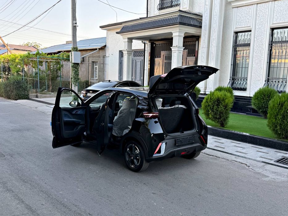 BYD Segull 405Km 2024 Full Позиция 99% Топтоза Состаяние Зор