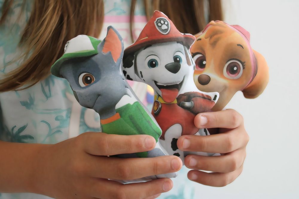 Пес патрул , Кученцата от Пес Патрул , Скай , Райдър , Paw patrol