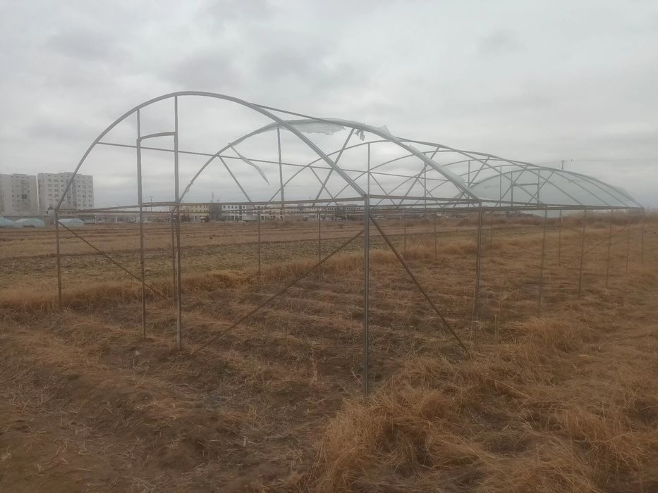 Тайёр парник сотилади