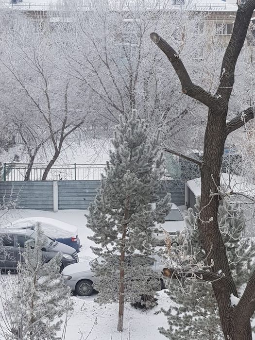2 комнатная квартира, центр