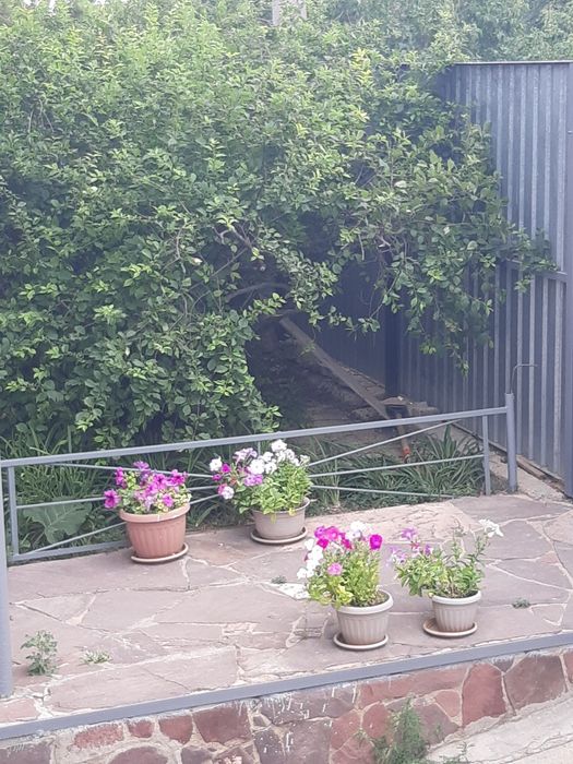 Продам дом срочно