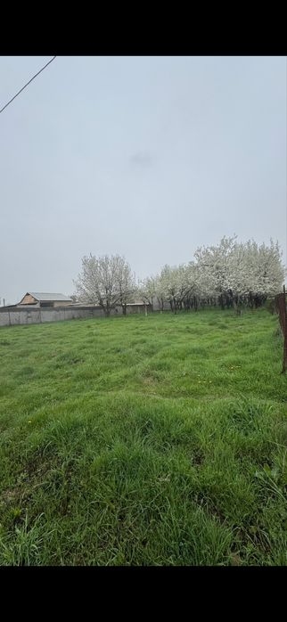 Arzon yer toshken viloyati nurafshon shaxar 16sotih