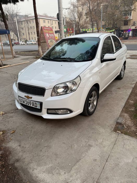 2017 yil, oq, kraskasi TOZA