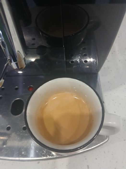 Delonghi magnifica